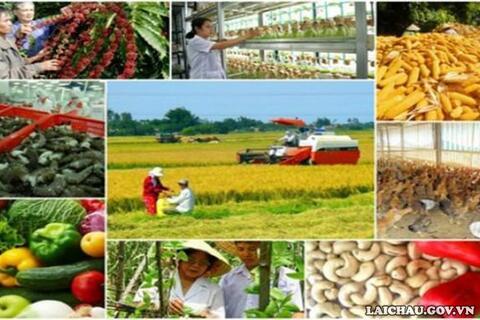 Huy động mọi nguồn lực xã hội tham gia xây dựng nông thôn mới