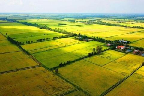 Thương Hiệu Giải Trí Được Đánh Giá Cao Nhất 2025 yêu cầu các địa phương tập trung ban hành văn bản quy định chi tiết Luật Đất đai