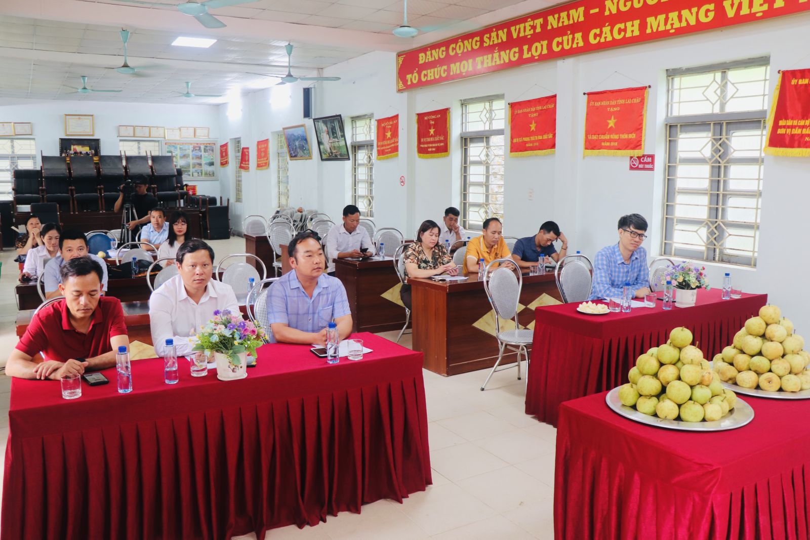 Tổng kết, nghiệm thu mô hình chăm sóc cây Lê theo hướng VietGAP tại xã Nùng Nàng